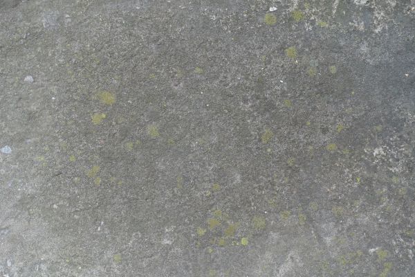 Cost of Slab Staining Service in Danville